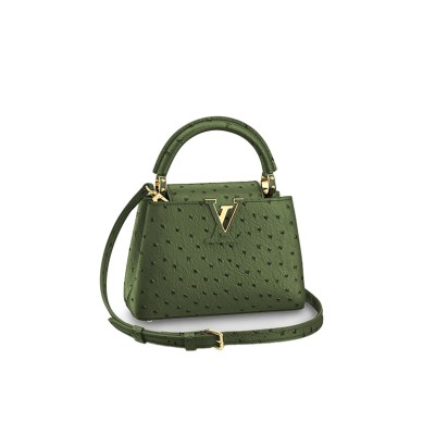 LOUIS VUITTON CAPUCINES MINI M95509 (21*14*8cm)